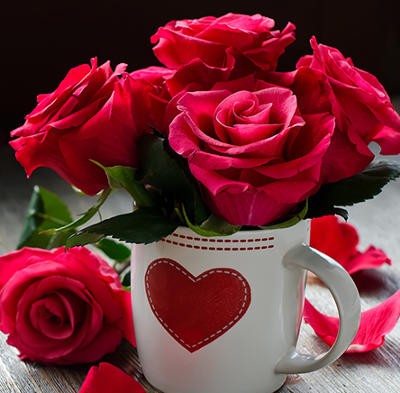 Send Valentine Rose and Gifts to Japan